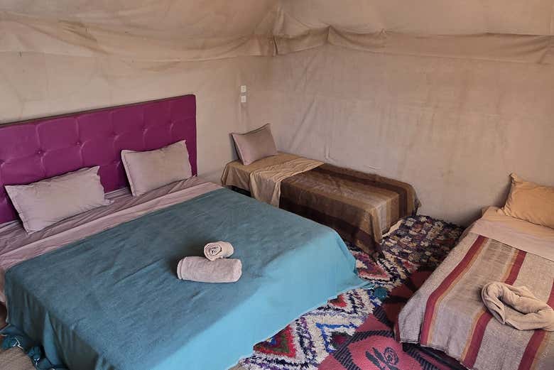 Room in a standard haima