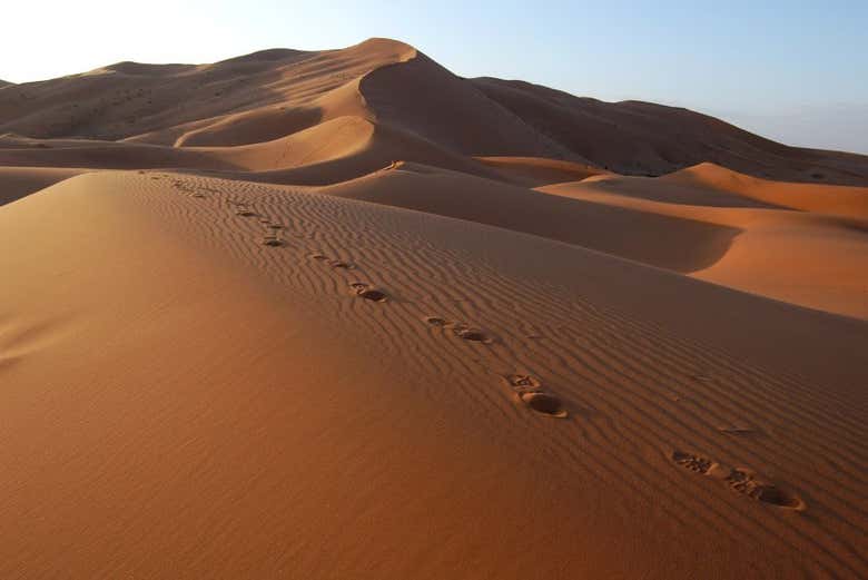 Erg Chebbi dunes in the Sahara