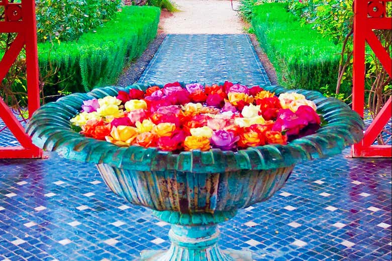 Breathe in the fresh flower smell