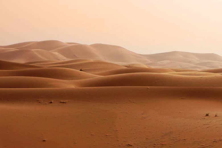 Sand dunes in the desert