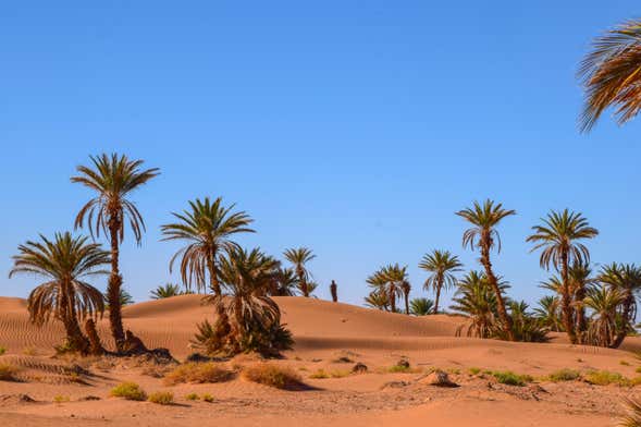 2 Day Zagora Desert Trip
