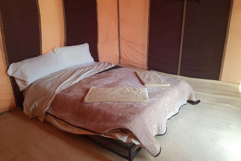 Rest up in this room in the standard camp