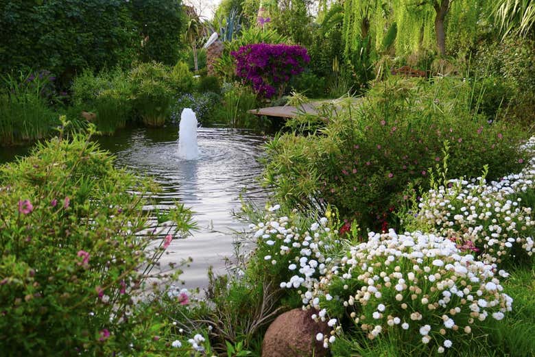 Stroll through this oasis