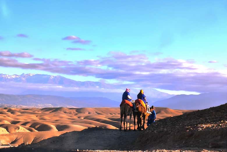 You'll love the camel ride!