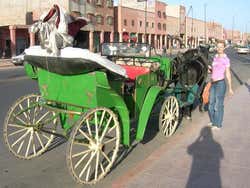 Horse-drawn carriage in Marrakech