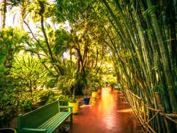 Exploring the gardens