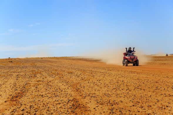 Buggy Tour and Camel Ride